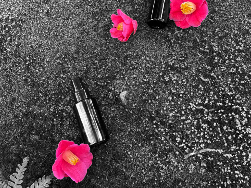 HinokiHinoki Noir Red Collection with Red Japanese Camellia flower